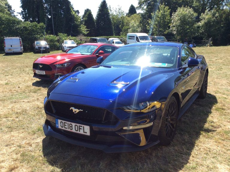 Mustang GT side profile